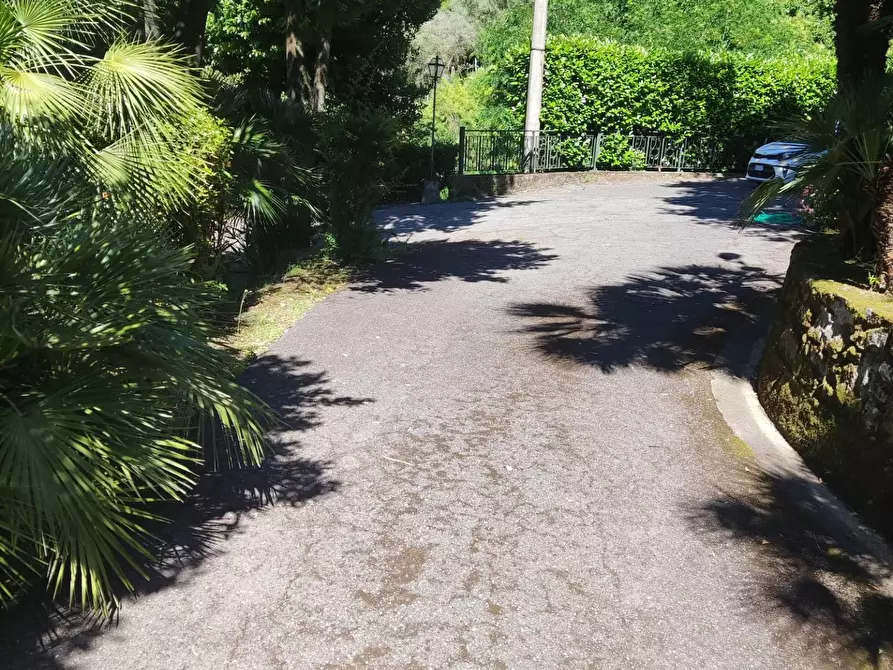 Immagine 15 di Villa in vendita  a Carrara