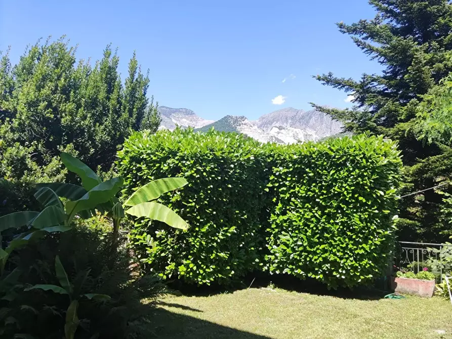 Immagine 10 di Villa in vendita  a Carrara