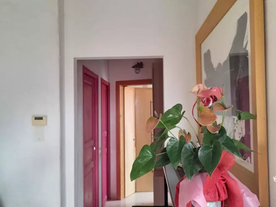 Immagine 16 di Appartamento in vendita  a Livorno