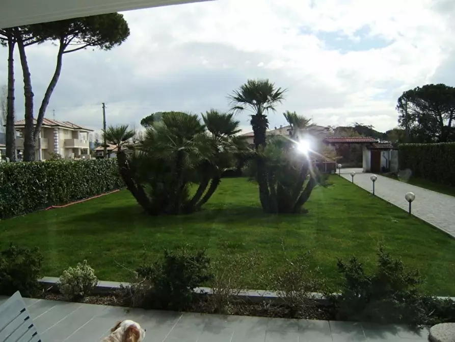 Immagine 3 di Villa in vendita  a Camaiore