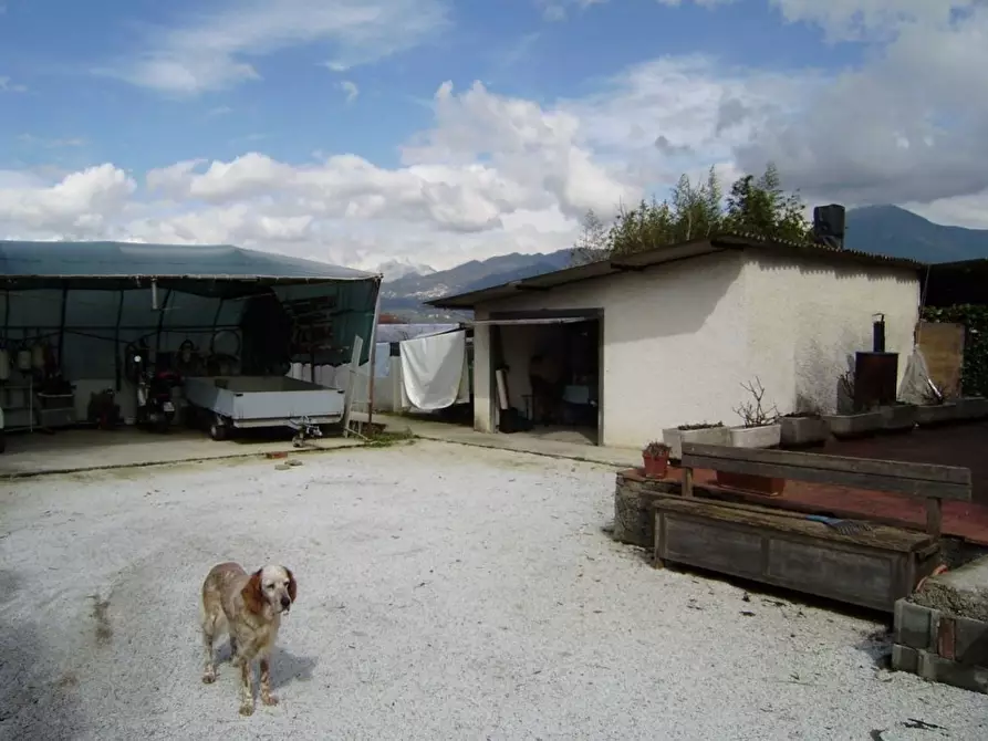 Immagine 11 di Villa in vendita  a Camaiore