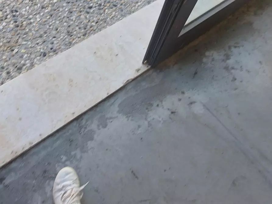 Immagine 16 di Magazzino in affitto  a Santa Croce Sull'arno