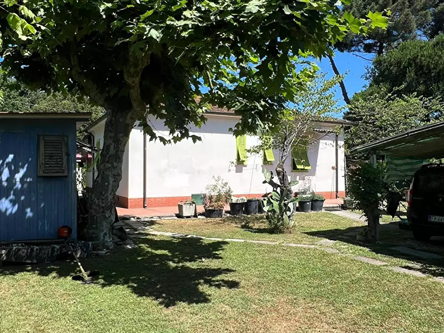 Immagine 2 di Casa indipendente in vendita  a Massa