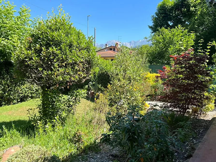 Immagine 5 di Casa indipendente in vendita  a Massa