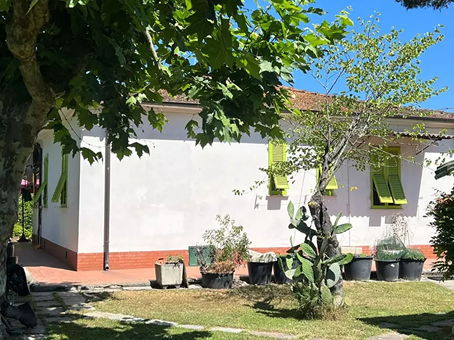 Immagine 4 di Casa indipendente in vendita  a Massa