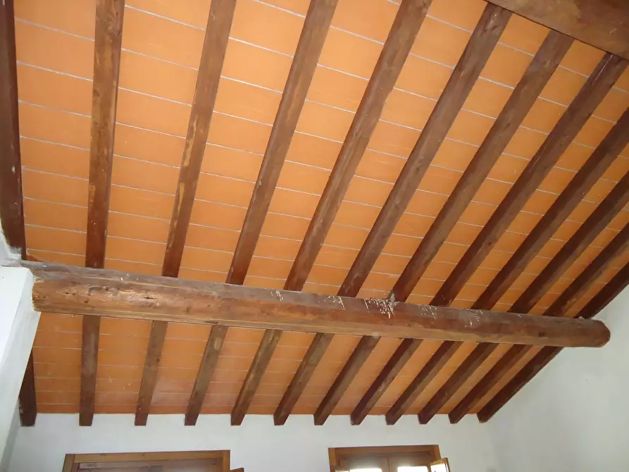 Immagine 17 di Terratetto in vendita  a San Miniato