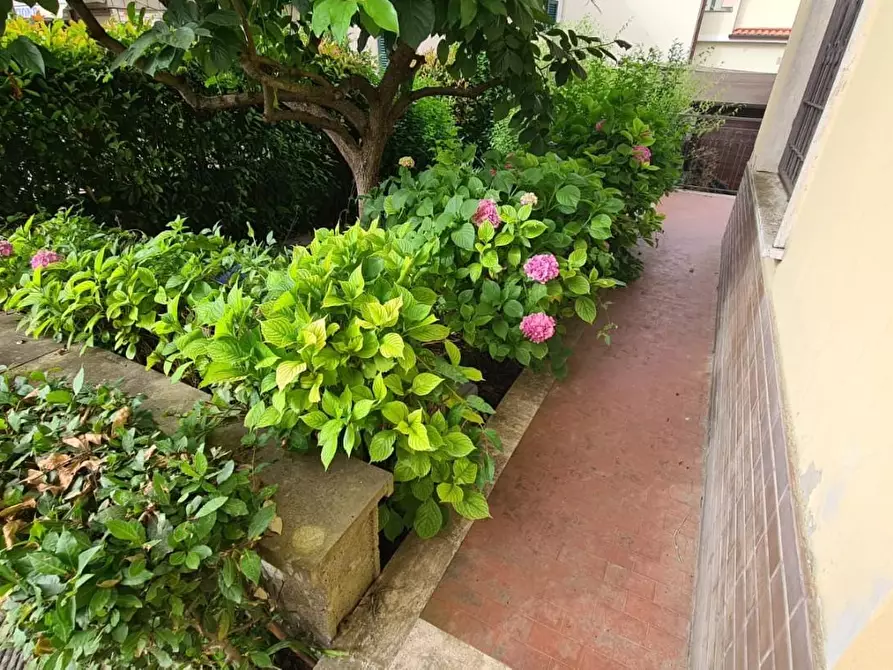 Immagine 21 di Terratetto in vendita  a Cerreto Guidi