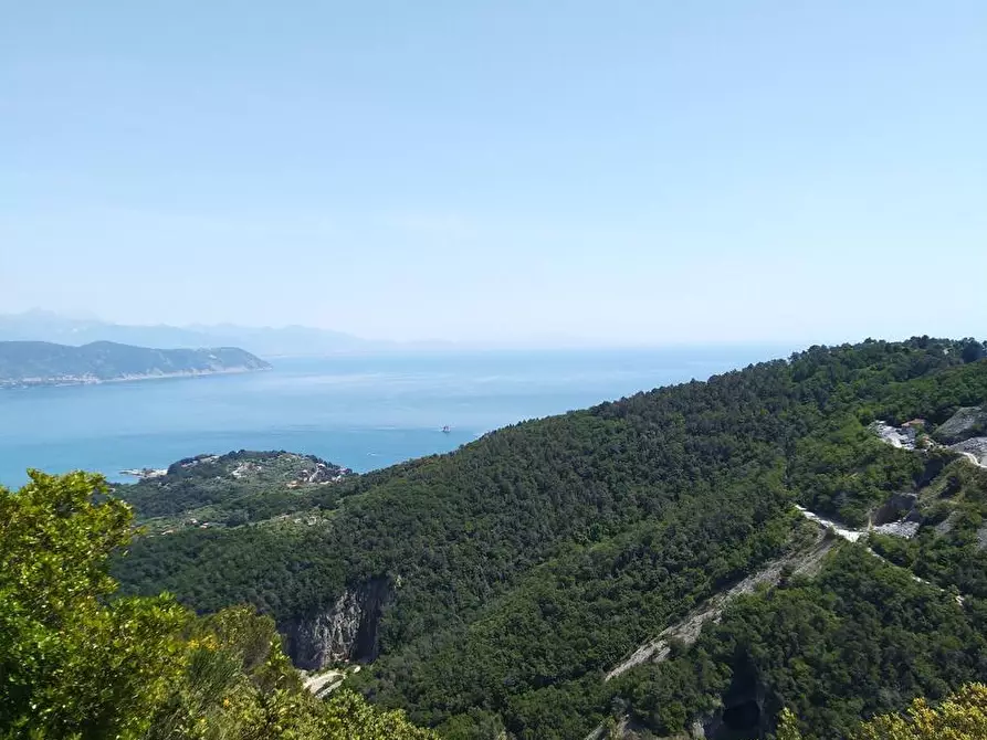 Immagine 1 di Casa bifamiliare in vendita  a La Spezia