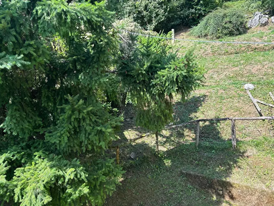 Immagine 13 di Casa colonica in vendita  a Coreglia Antelminelli