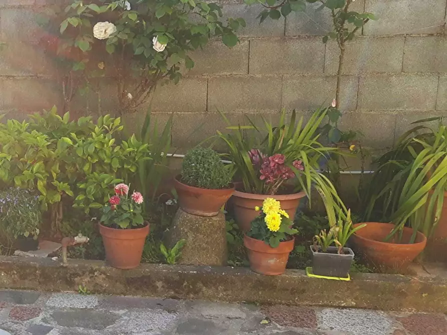 Immagine 13 di Casa semindipendente in vendita  a Carrara