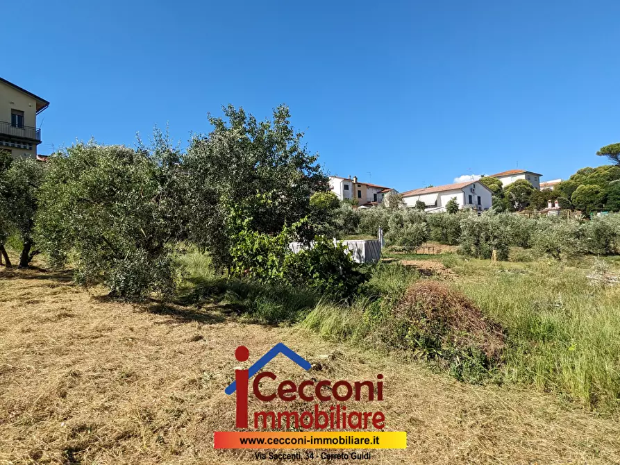 Immagine 15 di Terratetto in vendita  a Cerreto Guidi