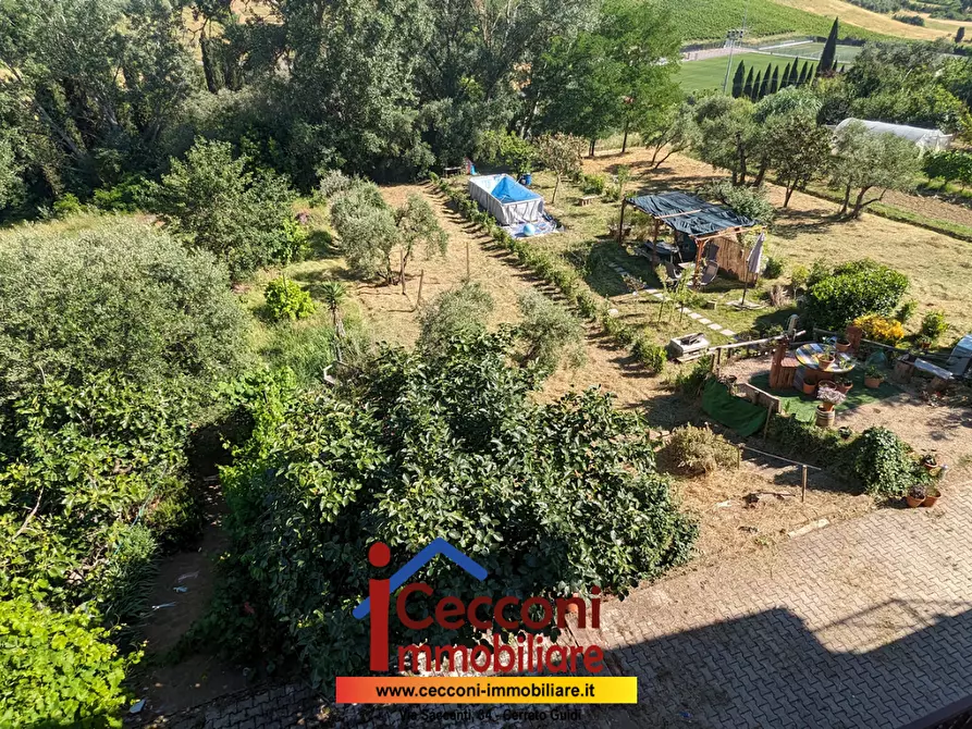 Immagine 6 di Terratetto in vendita  a Cerreto Guidi