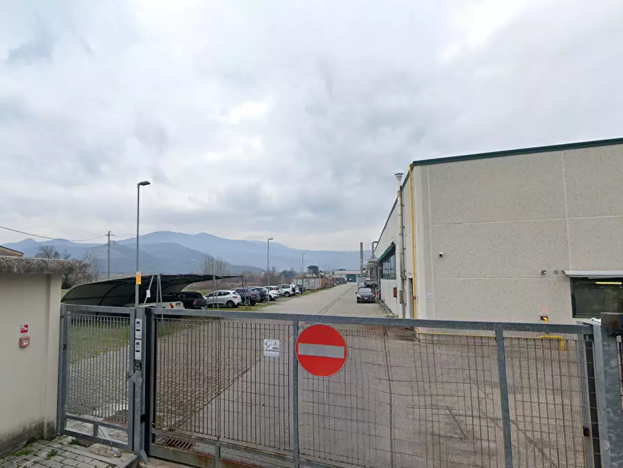 Immagine 10 di Attività artigianale in vendita  a Calcinaia