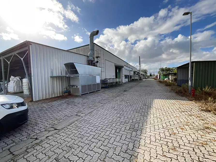 Immagine 7 di Attività artigianale in vendita  a Calcinaia