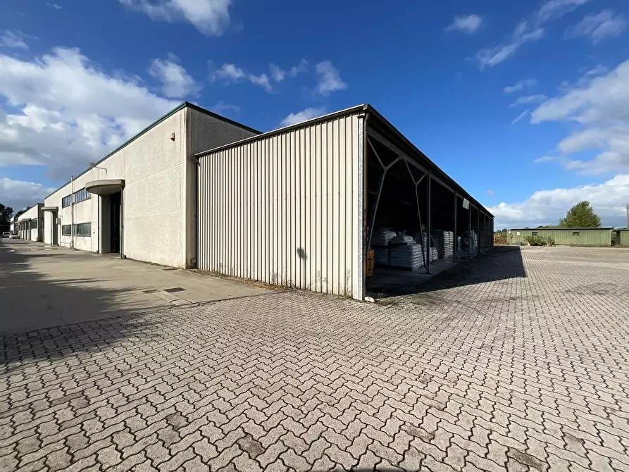 Immagine 5 di Attività artigianale in vendita  a Calcinaia