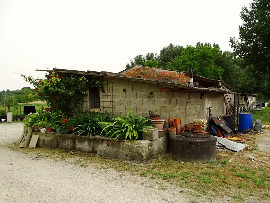 Immagine 27 di Casa indipendente in vendita  a San Miniato