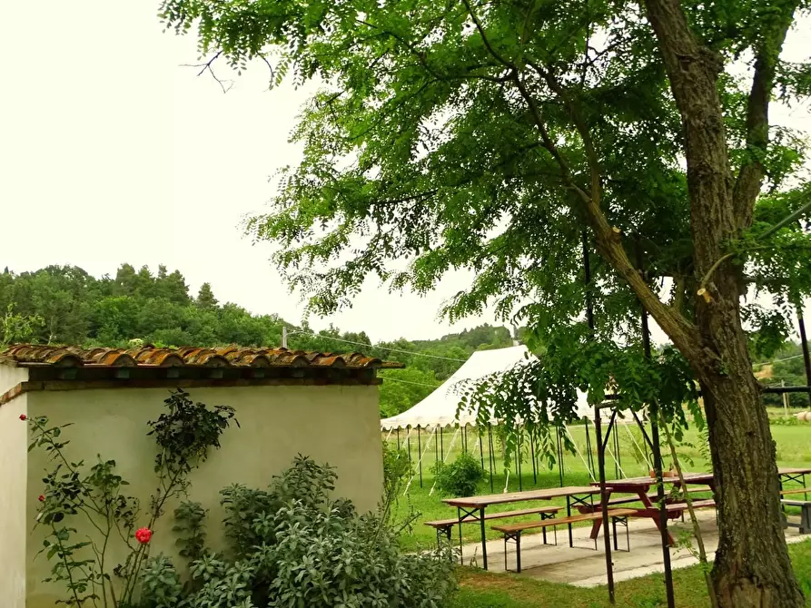 Immagine 3 di Casa indipendente in vendita  a San Miniato