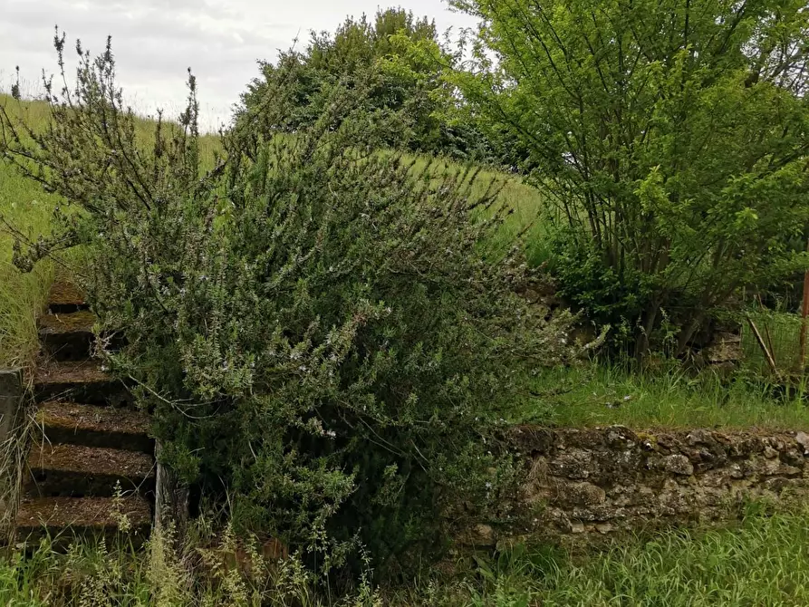 Immagine 6 di Appartamento in vendita  a Monteriggioni