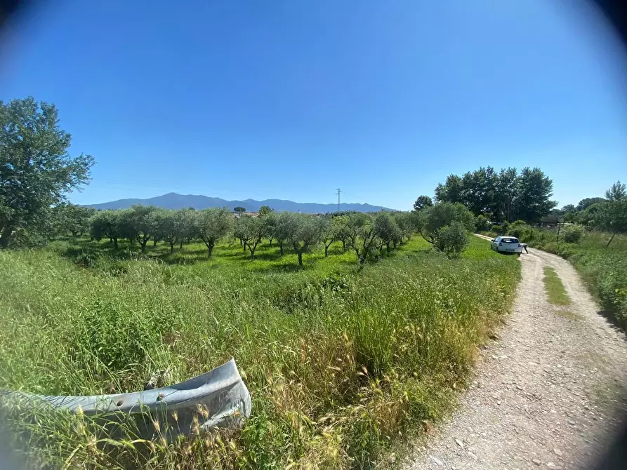 Immagine 1 di Terreno agricolo in vendita  a Pisa