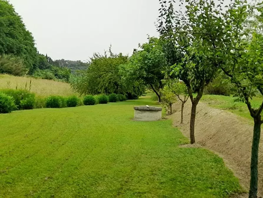 Immagine 1 di Terreno agricolo in vendita  a Crespina Lorenzana