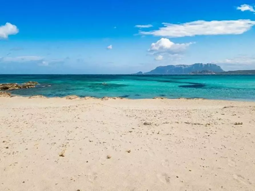 Immagine 1 di Casa semindipendente in vendita  a Olbia