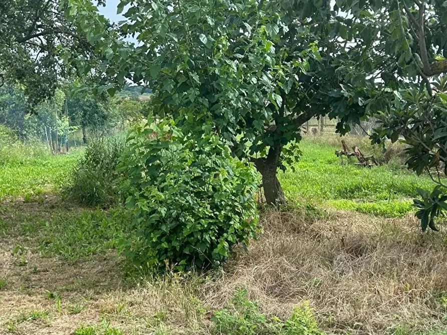 Immagine 1 di Casa indipendente in vendita  a Casciana Terme Lari