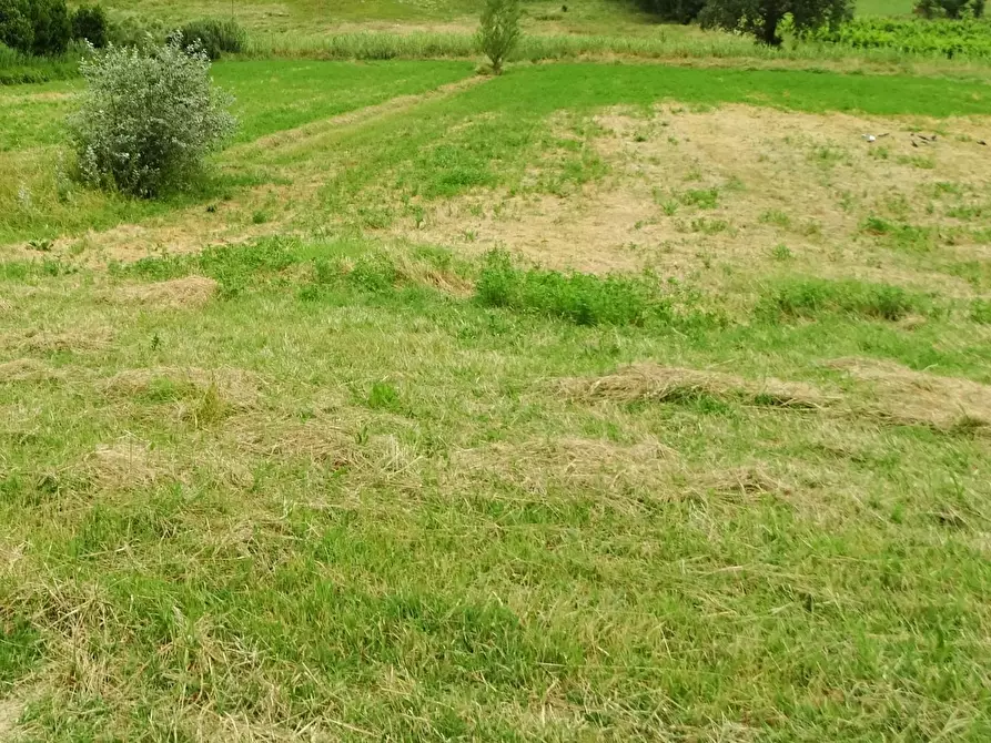 Immagine 1 di Terreno agricolo in vendita  a San Miniato