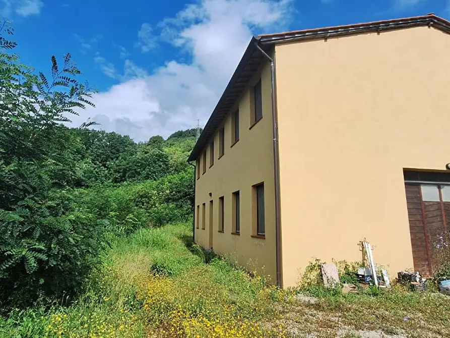 Immagine 13 di Azienda agricola in vendita  a Borgo A Mozzano