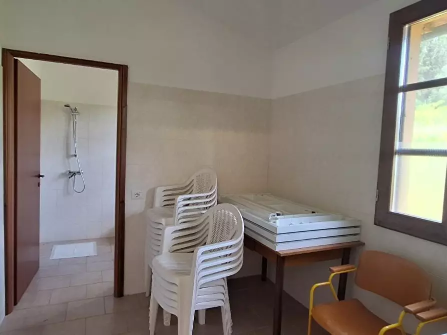 Immagine 3 di Azienda agricola in vendita  a Borgo A Mozzano