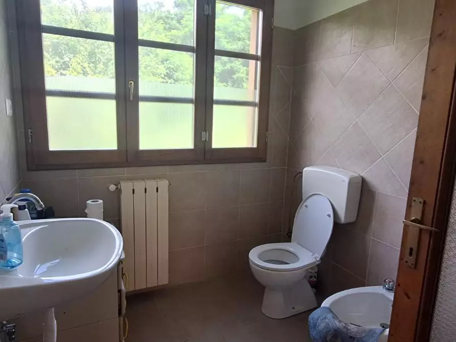 Immagine 6 di Azienda agricola in vendita  a Borgo A Mozzano