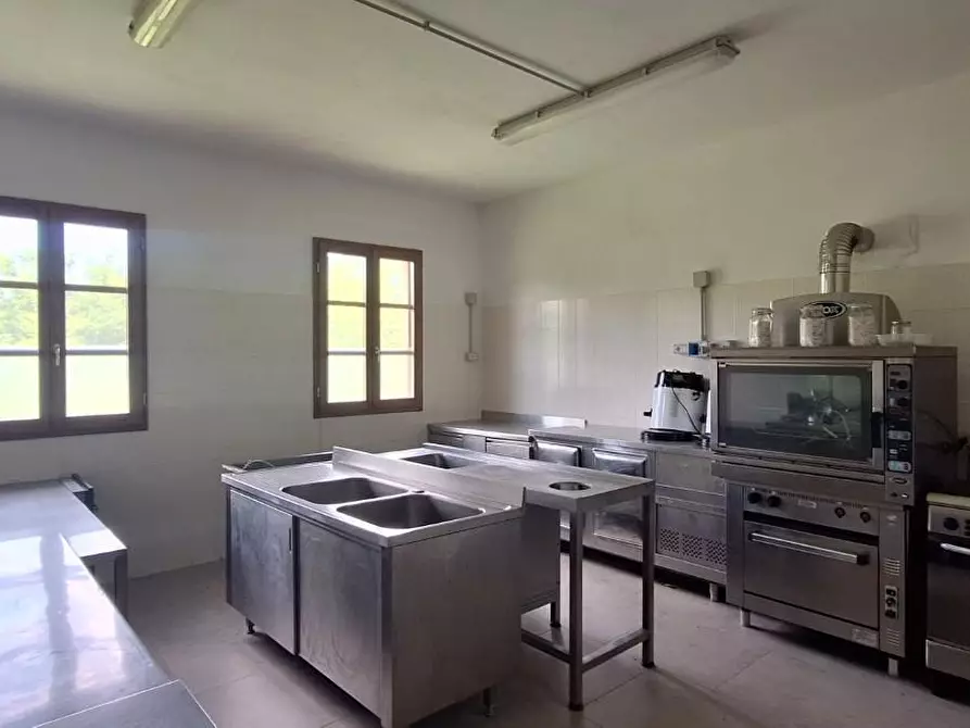 Immagine 10 di Azienda agricola in vendita  a Borgo A Mozzano