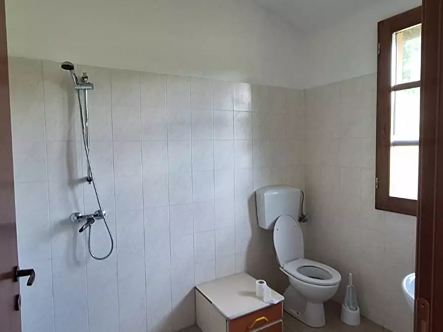 Immagine 7 di Azienda agricola in vendita  a Borgo A Mozzano