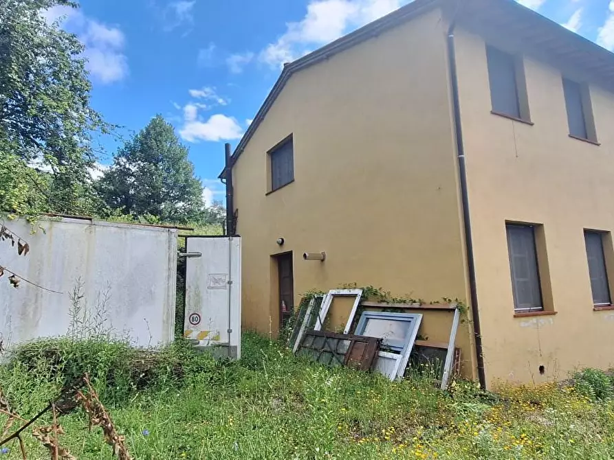Immagine 12 di Azienda agricola in vendita  a Borgo A Mozzano