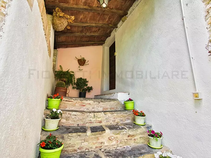 Immagine 40 di Casa colonica in vendita  a Castelnuovo Val Di Cecina