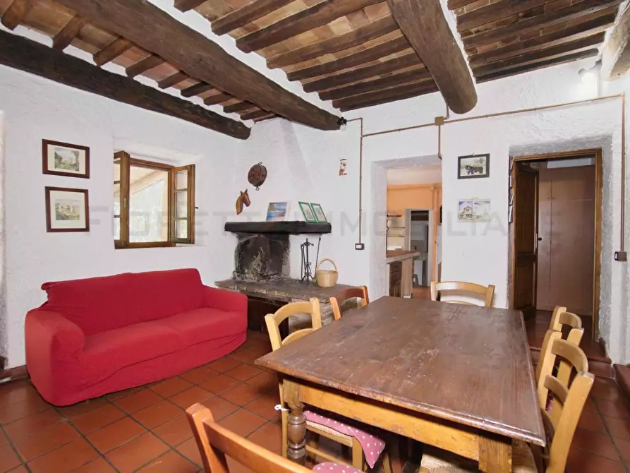 Immagine 24 di Casa colonica in vendita  a Castelnuovo Val Di Cecina