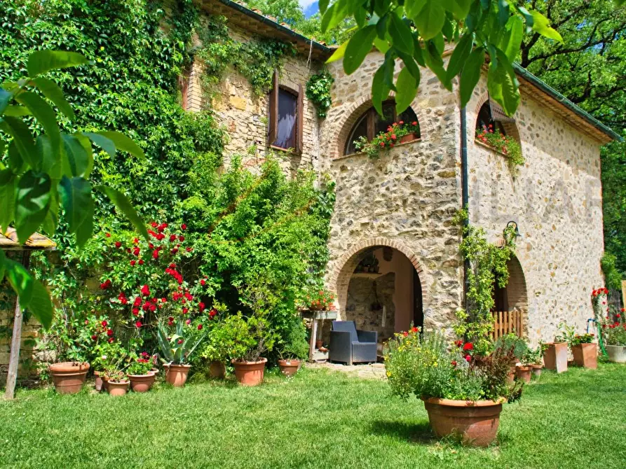 Immagine 20 di Casa colonica in vendita  a Castelnuovo Val Di Cecina