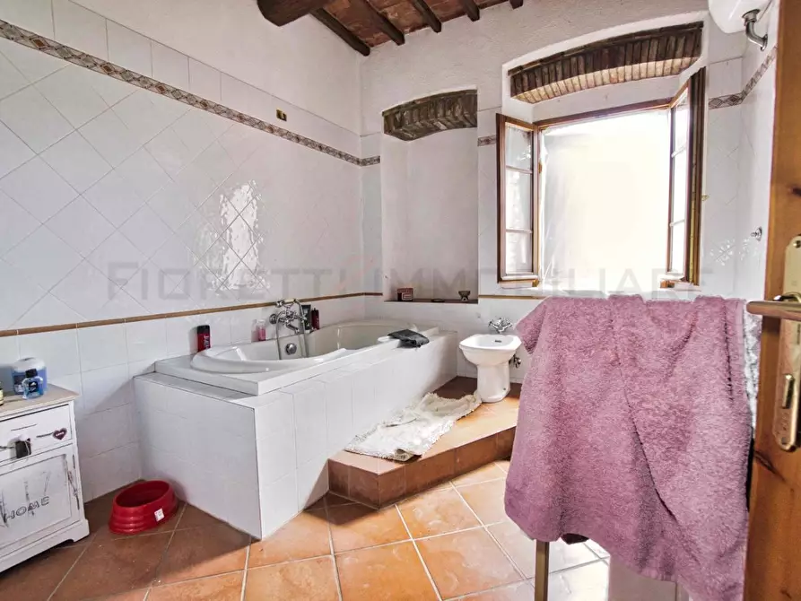 Immagine 64 di Casa colonica in vendita  a Castelnuovo Val Di Cecina