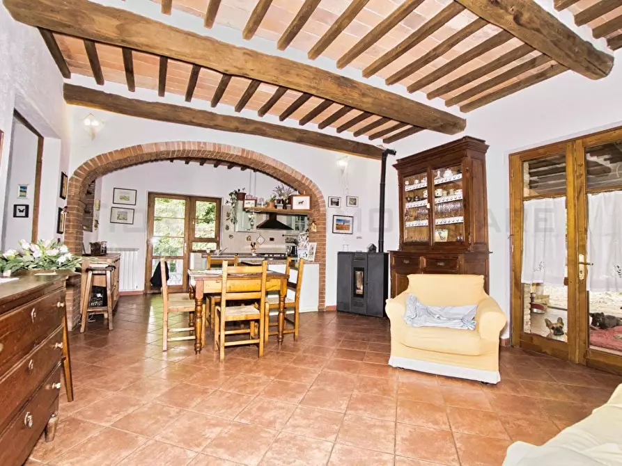 Immagine 48 di Casa colonica in vendita  a Castelnuovo Val Di Cecina