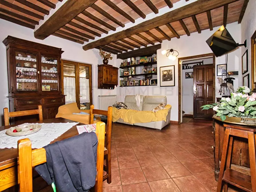 Immagine 51 di Casa colonica in vendita  a Castelnuovo Val Di Cecina