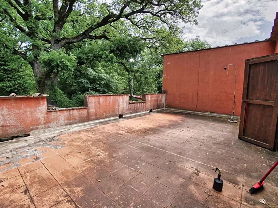 Immagine 60 di Casa colonica in vendita  a Castelnuovo Val Di Cecina