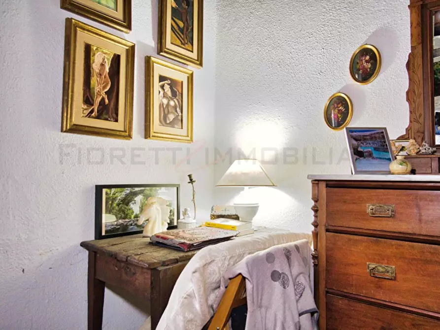 Immagine 55 di Casa colonica in vendita  a Castelnuovo Val Di Cecina