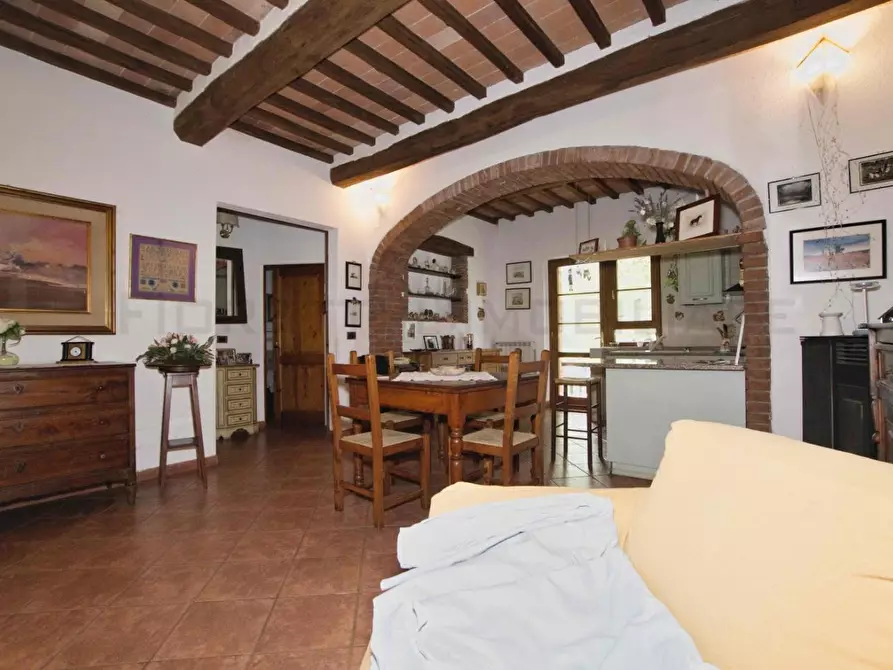 Immagine 49 di Casa colonica in vendita  a Castelnuovo Val Di Cecina