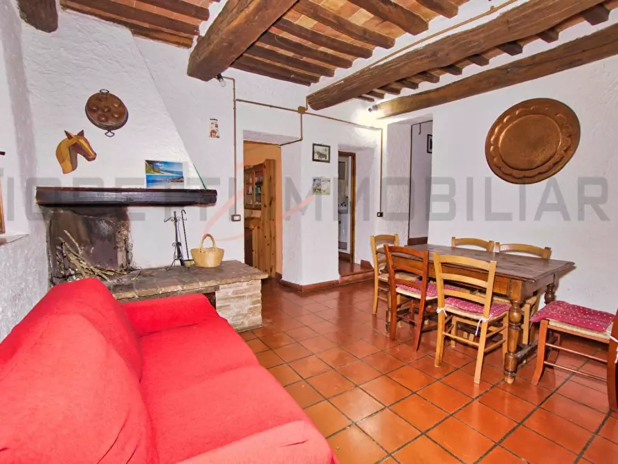 Immagine 23 di Casa colonica in vendita  a Castelnuovo Val Di Cecina