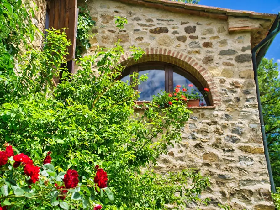 Immagine 21 di Casa colonica in vendita  a Castelnuovo Val Di Cecina