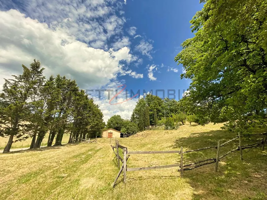 Immagine 66 di Casa colonica in vendita  a Castelnuovo Val Di Cecina