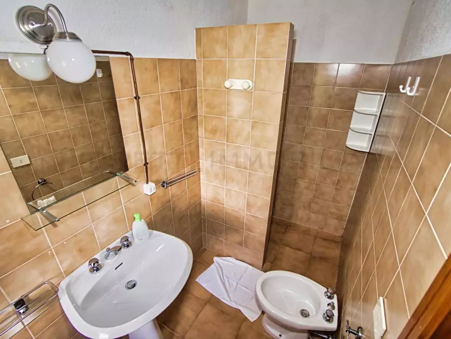 Immagine 39 di Casa colonica in vendita  a Castelnuovo Val Di Cecina