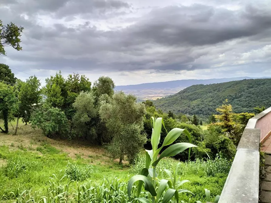 Immagine 18 di Villetta a schiera in vendita  a Rosignano Marittimo