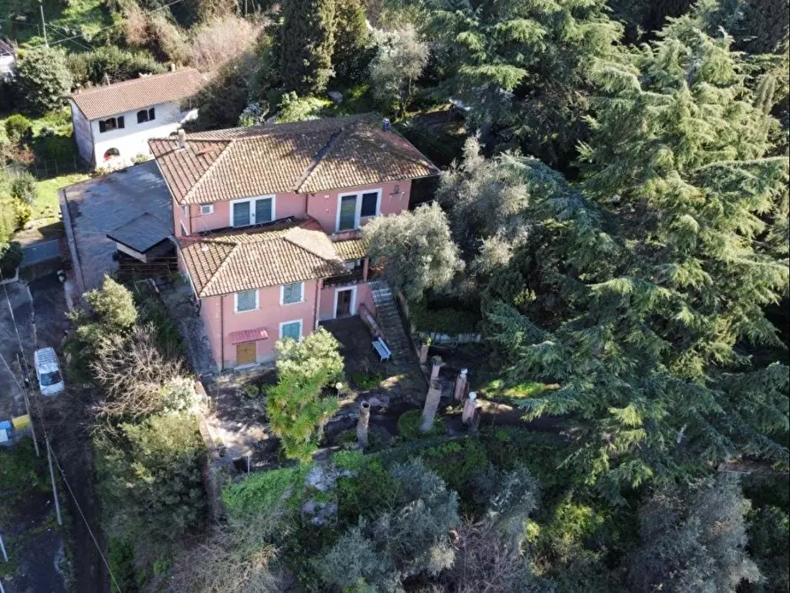Immagine 5 di Villa in vendita  a Massa