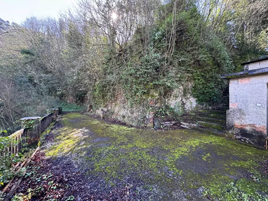 Immagine 15 di Villa in vendita  a Massa