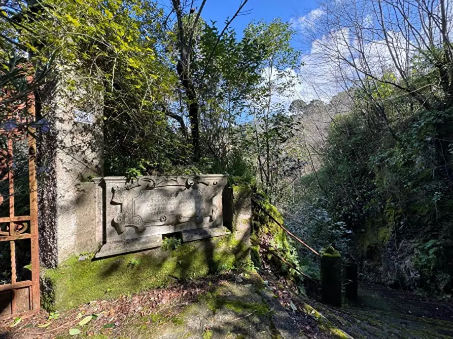 Immagine 11 di Villa in vendita  a Massa